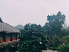 -峨眉山报国寺