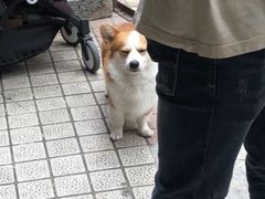 -小梁哥云吞面(黄贝岭店)