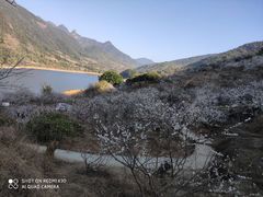 -广州市流溪河国家森林公园