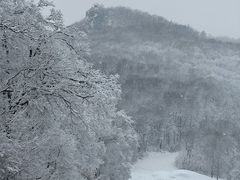 -中旅松花湖滑雪场