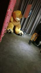 -BM SALON