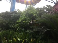 -横店影视城梦幻谷园区