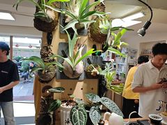 -本無咖啡·BeanWood Coffee