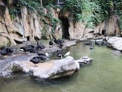 -燕塞湖鸟语林景区