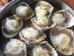 -大湾区中央湿地公园-十九涌
