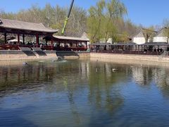 -尚庄度假村·庭台树下·户外烧烤·团建CS·轰趴营地(上庄水库店)