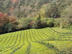 -敬亭山风景名胜区
