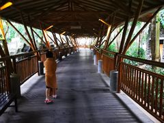 -海口观澜湖火山温泉谷