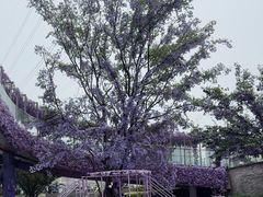 -龙湖南京江北天街