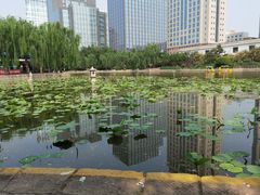 -团结湖公园