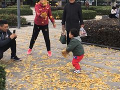 -百林公园-两江幸福广场