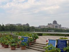 -莲花池公园