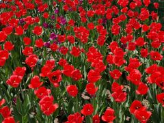 -长春公园(普阳街道)