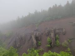 -峡谷浮石林景区
