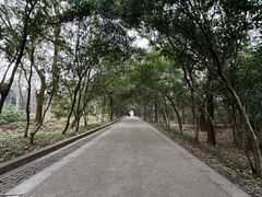 -灵谷景区