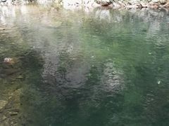 -九龙潭景区