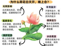 -古力古利托育早教中心(澳门路校区)