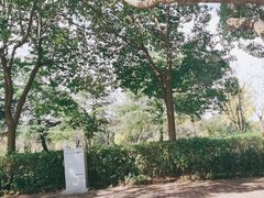 -上海大学生体育中心游泳馆(松江店)