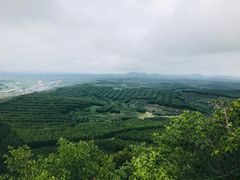 -帽儿山国家森林公园