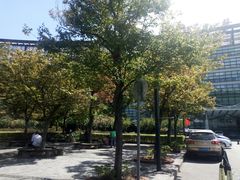 -上海中医药大学附属曙光医院(东部)