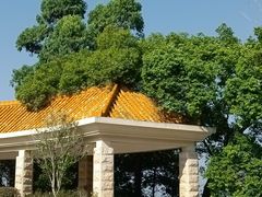 -神光山国家森林公园