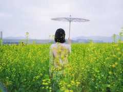 -光明小镇欢乐田园