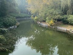 -大兴滨河森林公园