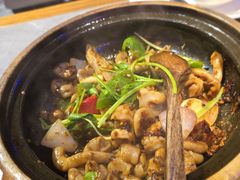 嘟嘟爽脆生肠-啫神·广州地标美食(北京路店)