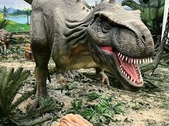 -吉林省自然博物馆