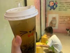 -猫咪博物馆(顶澳仔猫街店)