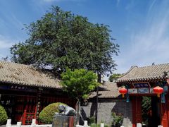 -有喜胶东小馆(太申祥和店)