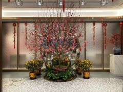 -广州酒家(中华广场店)