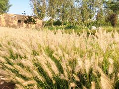 -汉长安城未央宫国家考古遗址公园