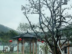 -无锡动物园·太湖欢乐园