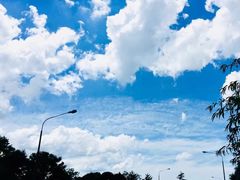 -怀托摩萤火虫洞