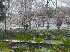 -老房子金沙元年川菜食府·花园餐厅(金沙店)