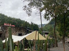 -MOJ coffee(瓯海泽雅水碓坑店)