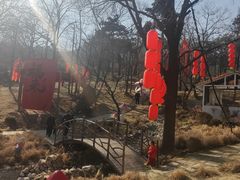 -沂蒙山旅游区云蒙景区(蒙山国家森林公园)