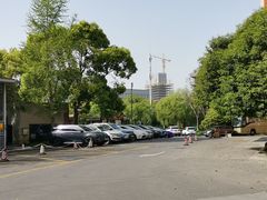 -复旦大学附属华山医院(浦东院区)