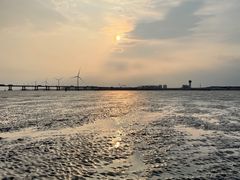 -南汇新城海滩