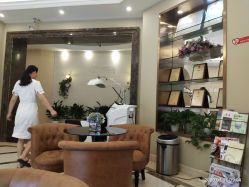 -碧莲盛·不剃发植发