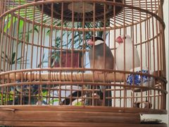 -31号公馆(黄兴广场白果园店)