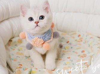 是什么让花季少女尖叫连连