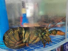-87号烧烤海鲜·大排档(金沙滩店)