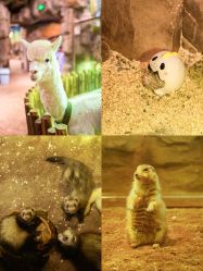 -宝燕乐园(闵行旗舰店)