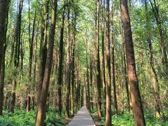 -同里国家湿地公园