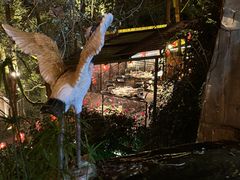 -巴倒烫陆派重庆火锅(南山店)