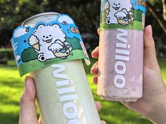 -新加坡斯味洛·鲜奶茶(石牌东店)