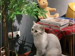 -咖法森林·咖啡  酒吧(天河店)