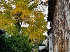 -惠山古镇·寄畅园